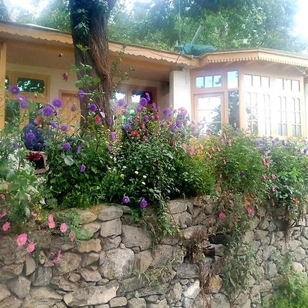 Mountain Refuge Guest House Karimabad  المظهر الخارجي الصورة