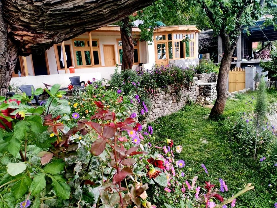 Mountain Refuge Guest House Karimabad  المظهر الخارجي الصورة